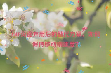AMP頁(yè)面棄用后的替代方案，如何保持移動(dòng)端速度？