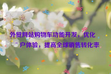 外貿(mào)網(wǎng)站購物車功能開發(fā)，優(yōu)化用戶體驗，提高全球銷售轉(zhuǎn)化率