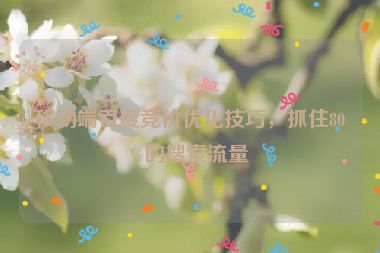 移動(dòng)端百度競(jìng)價(jià)優(yōu)化技巧，抓住80%的搜索流量