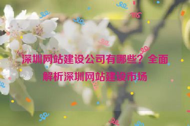 深圳網(wǎng)站建設(shè)公司有哪些？全面解析深圳網(wǎng)站建設(shè)市場