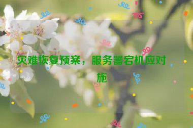 災(zāi)難恢復(fù)預(yù)案，服務(wù)器宕機(jī)應(yīng)對(duì)措施
