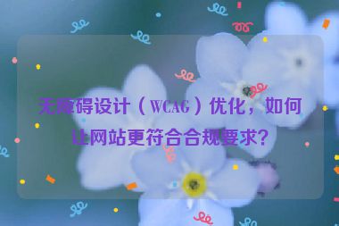 無障礙設(shè)計(jì)（WCAG）優(yōu)化，如何讓網(wǎng)站更符合合規(guī)要求？