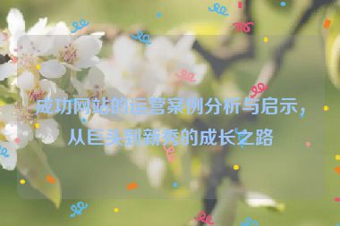 成功網(wǎng)站的運(yùn)營案例分析與啟示，從巨頭到新秀的成長(zhǎng)之路