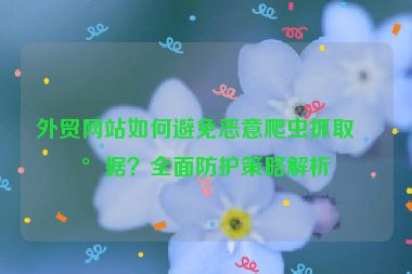 外貿(mào)網(wǎng)站如何避免惡意爬蟲(chóng)抓取數(shù)據(jù)？全面防護(hù)策略解析