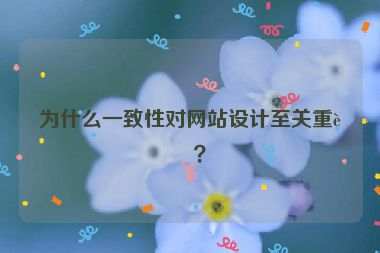 為什么一致性對網(wǎng)站設(shè)計至關(guān)重要？