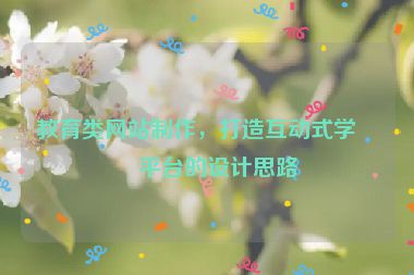 教育類網(wǎng)站制作，打造互動(dòng)式學(xué)習(xí)平臺(tái)的設(shè)計(jì)思路