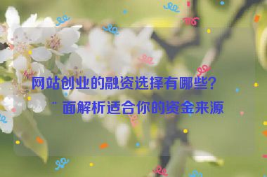 網(wǎng)站創(chuàng)業(yè)的融資選擇有哪些？全面解析適合你的資金來(lái)源