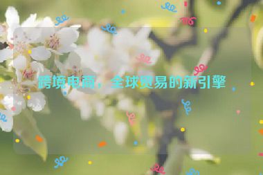 跨境電商，全球貿(mào)易的新引擎