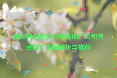 佛山網(wǎng)站建設(shè)與網(wǎng)絡(luò)推廣公司有哪些？全面解析與推薦