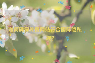 如何確保外貿(mào)網(wǎng)站符合國際隱私法規(guī)？