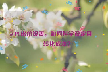 oCPC出價(jià)設(shè)置，如何科學(xué)設(shè)定目標(biāo)轉(zhuǎn)化成本？