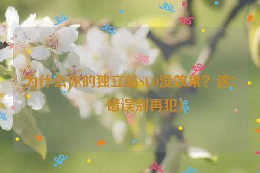 為什么你的獨立站SEO沒效果？這7個錯誤別再犯！