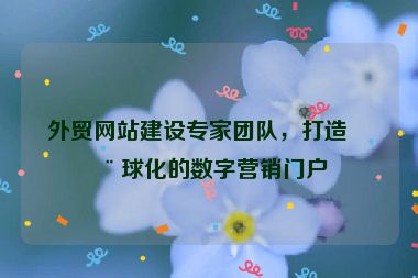 外貿(mào)網(wǎng)站建設(shè)專家團(tuán)隊(duì)，打造全球化的數(shù)字營(yíng)銷門戶
