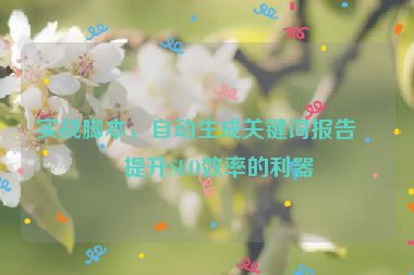 實(shí)戰(zhàn)腳本，自動(dòng)生成關(guān)鍵詞報(bào)告—提升SEO效率的利器