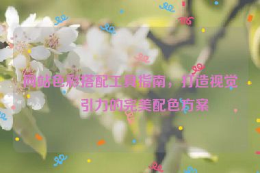 網(wǎng)站色彩搭配工具指南，打造視覺吸引力的完美配色方案