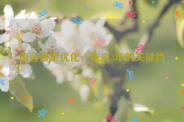 語音搜索優(yōu)化，未來3年的關鍵趨勢