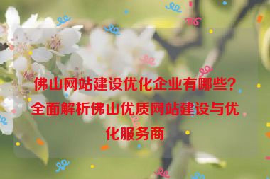 佛山網(wǎng)站建設(shè)優(yōu)化企業(yè)有哪些？全面解析佛山優(yōu)質(zhì)網(wǎng)站建設(shè)與優(yōu)化服務(wù)商