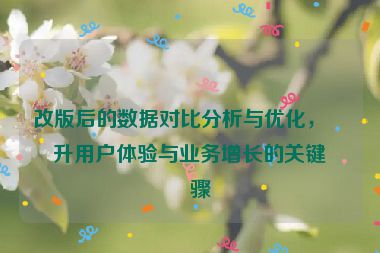 改版后的數(shù)據(jù)對比分析與優(yōu)化，提升用戶體驗與業(yè)務(wù)增長的關(guān)鍵步驟