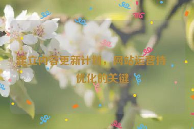 建立內(nèi)容更新計(jì)劃，網(wǎng)站運(yùn)營持續(xù)優(yōu)化的關(guān)鍵