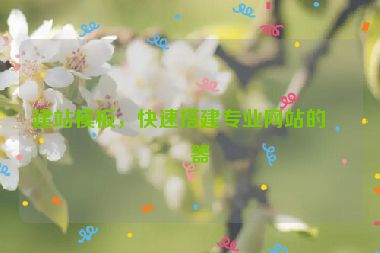建站模板，快速搭建專業(yè)網(wǎng)站的利器