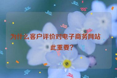 為什么客戶評價對電子商務(wù)網(wǎng)站如此重要？