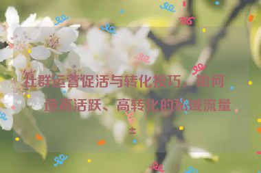 社群運營促活與轉(zhuǎn)化技巧，如何打造高活躍、高轉(zhuǎn)化的私域流量池