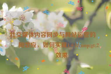 社交媒體內(nèi)容同步與網(wǎng)站運(yùn)營的協(xié)同效應(yīng)，如何實(shí)現(xiàn)1+1&gt;2的效果