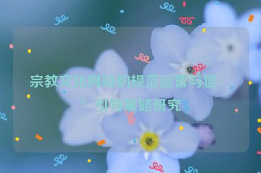 宗教文化網(wǎng)站的規(guī)范運營與信仰引導(dǎo)策略研究