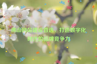 佛山網(wǎng)站建設首選，打造數(shù)字化時代的品牌競爭力