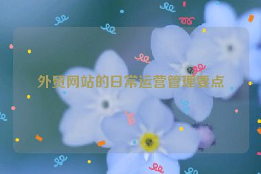 外貿(mào)網(wǎng)站的日常運營管理要點