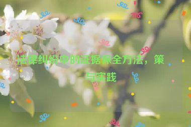 法律糾紛中的證據(jù)保全方法，策略與實(shí)踐