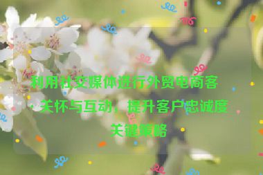 利用社交媒體進行外貿(mào)電商客戶關(guān)懷與互動，提升客戶忠誠度的關(guān)鍵策略