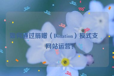 如何通過捐贈（Donation）模式支持網(wǎng)站運(yùn)營？