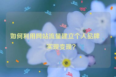 如何利用網(wǎng)站流量建立個人品牌并實(shí)現(xiàn)變現(xiàn)？