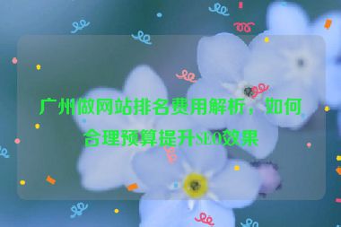 廣州做網(wǎng)站排名費用解析，如何合理預(yù)算提升SEO效果