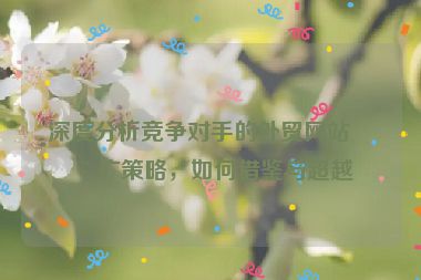 深度分析競爭對手的外貿(mào)網(wǎng)站推廣策略，如何借鑒與超越