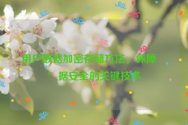 用戶數(shù)據(jù)加密存儲方法，保障數(shù)據(jù)安全的關(guān)鍵技術(shù)