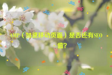AMP（加速移動頁面）是否還有SEO價值？