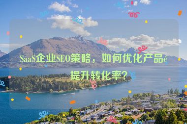 SaaS企業(yè)SEO策略，如何優(yōu)化產(chǎn)品頁提升轉(zhuǎn)化率？