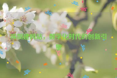 深圳建網(wǎng)站，數(shù)字化時代的創(chuàng)新引擎