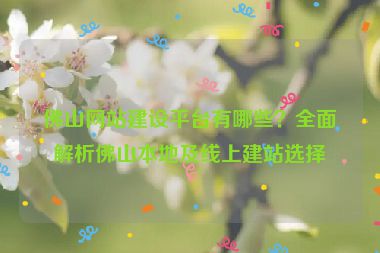佛山網(wǎng)站建設(shè)平臺(tái)有哪些？全面解析佛山本地及線上建站選擇