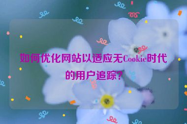 如何優(yōu)化網(wǎng)站以適應(yīng)無Cookie時(shí)代的用戶追蹤？