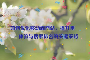 如何優(yōu)化移動端網(wǎng)站，提升用戶體驗與搜索排名的關(guān)鍵策略