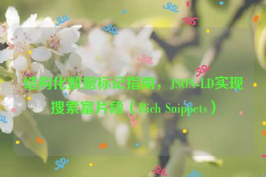 結(jié)構(gòu)化數(shù)據(jù)標(biāo)記指南，JSON-LD實(shí)現(xiàn)搜索富片段（Rich Snippets）