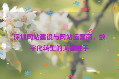 深圳網(wǎng)站建設(shè)與網(wǎng)站運營商，數(shù)字化轉(zhuǎn)型的關(guān)鍵推手