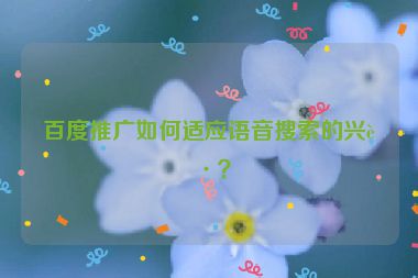百度推廣如何適應(yīng)語音搜索的興起？