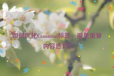 如何優(yōu)化Canonical標簽，避免重復內容懲罰？