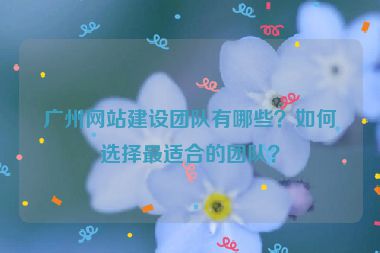 廣州網(wǎng)站建設(shè)團(tuán)隊有哪些？如何選擇最適合的團(tuán)隊？