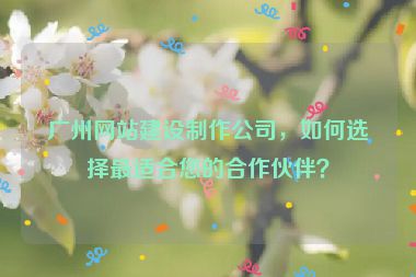 廣州網(wǎng)站建設(shè)制作公司，如何選擇最適合您的合作伙伴？