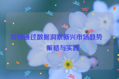 如何通過數(shù)據(jù)洞察新興市場趨勢，策略與實踐